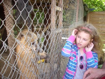 ŠD v MINI ZOO